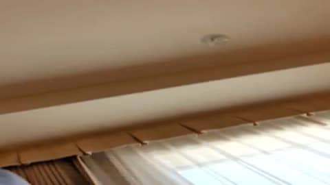 【原创获取】赤坎S州女团酒店◎*湖畔观光酒店FC2-PPV-2769516